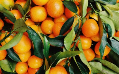 San Valentín en Italia se celebra con… ¿naranjas y limones?