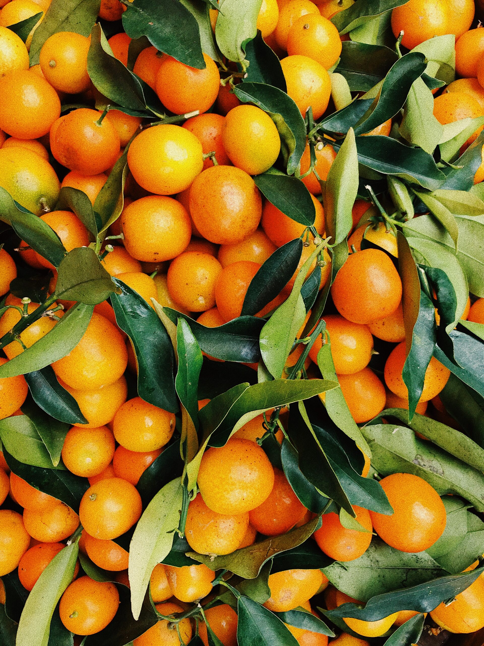 San Valentín en Italia se celebra con… ¿naranjas y limones?